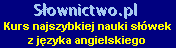Kurs - Szybka nauka s��wek przez internet - j�zyk angielski